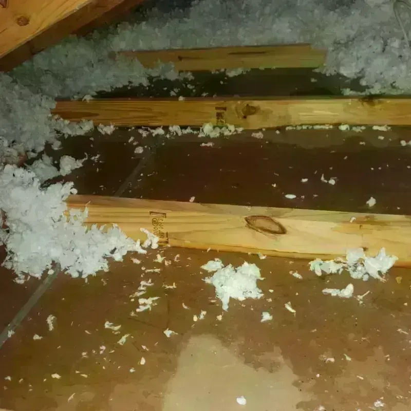 Attic Water Damage in Georgetown, KY